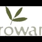 profile picture of Rowan Consultancy